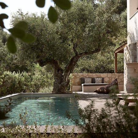 Zayn Luxury Villas, A Serene Escape, By Thinkvilla チィリヴィ エクステリア 写真