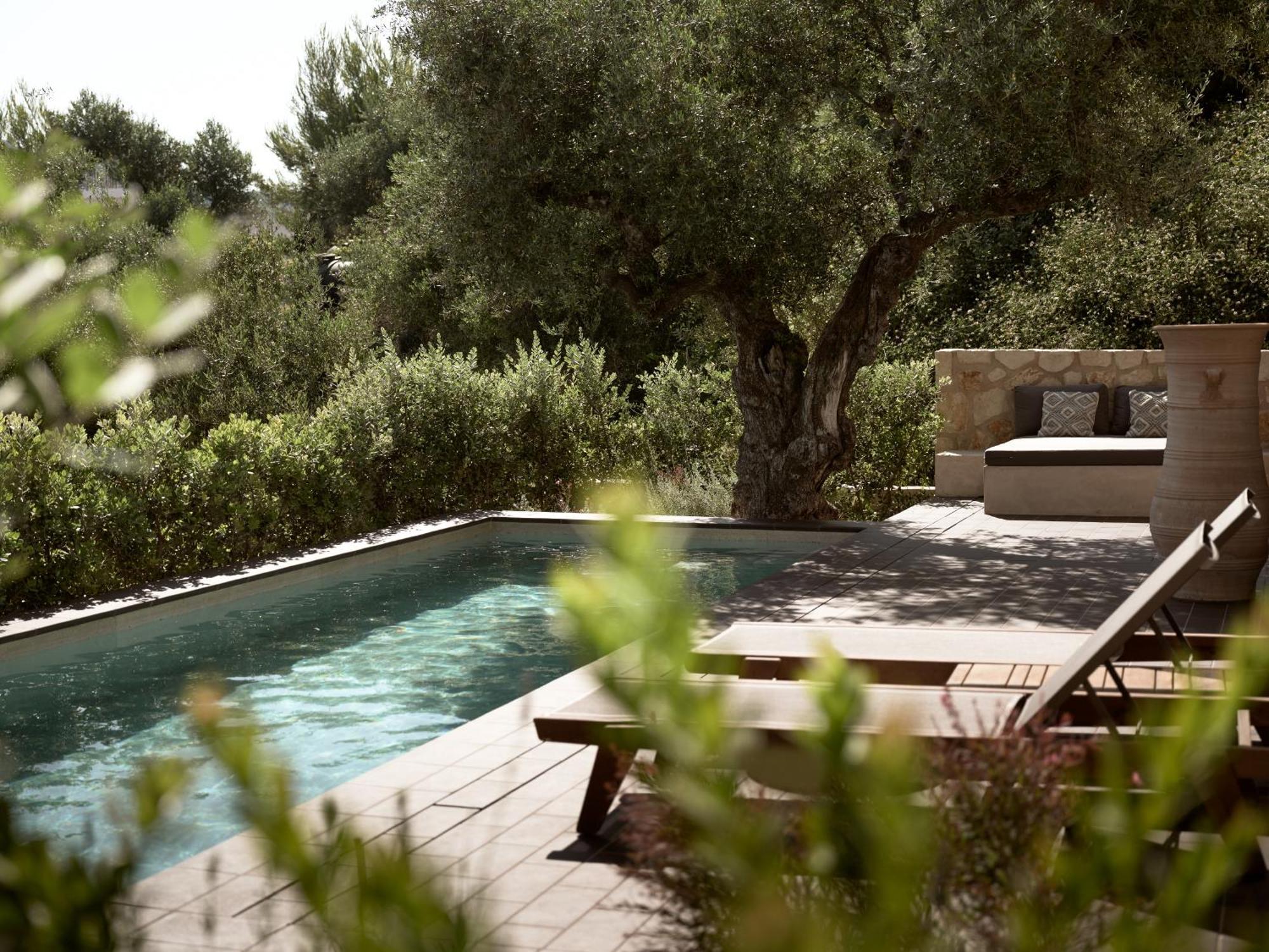 Zayn Luxury Villas, A Serene Escape, By Thinkvilla チィリヴィ エクステリア 写真