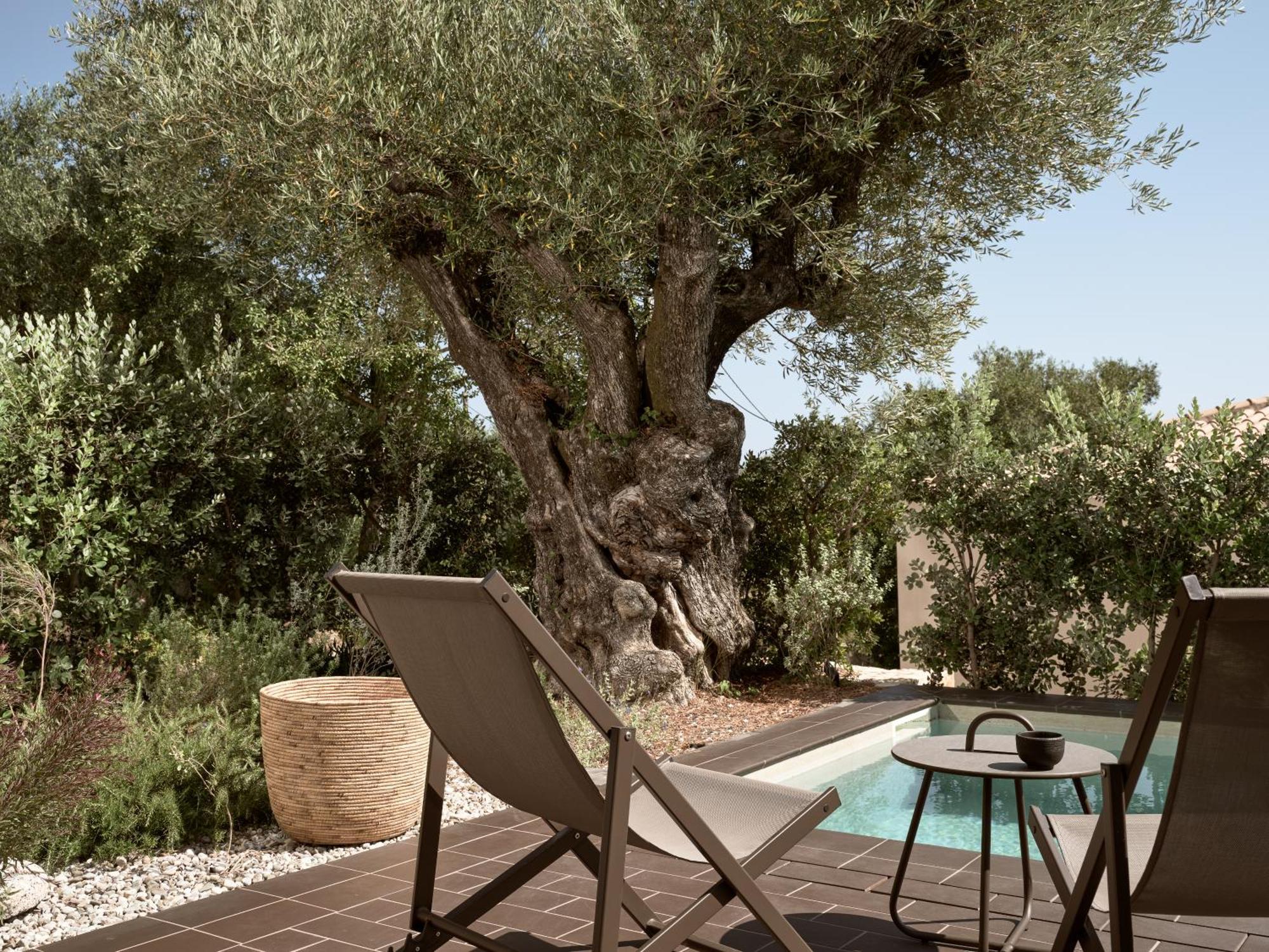 Zayn Luxury Villas, A Serene Escape, By Thinkvilla チィリヴィ エクステリア 写真